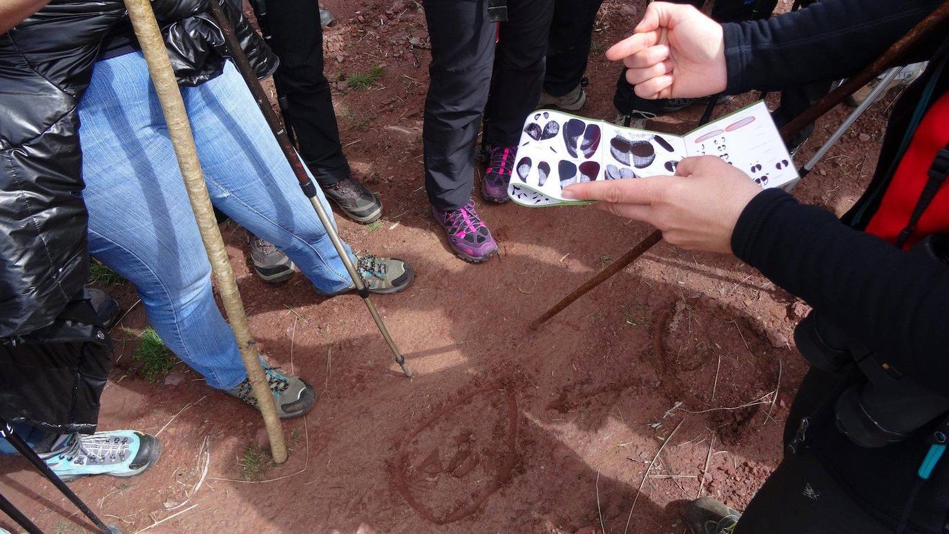 Fotos: Imágenes de los parajes que incluyen las actividades de Naturea Cantabria