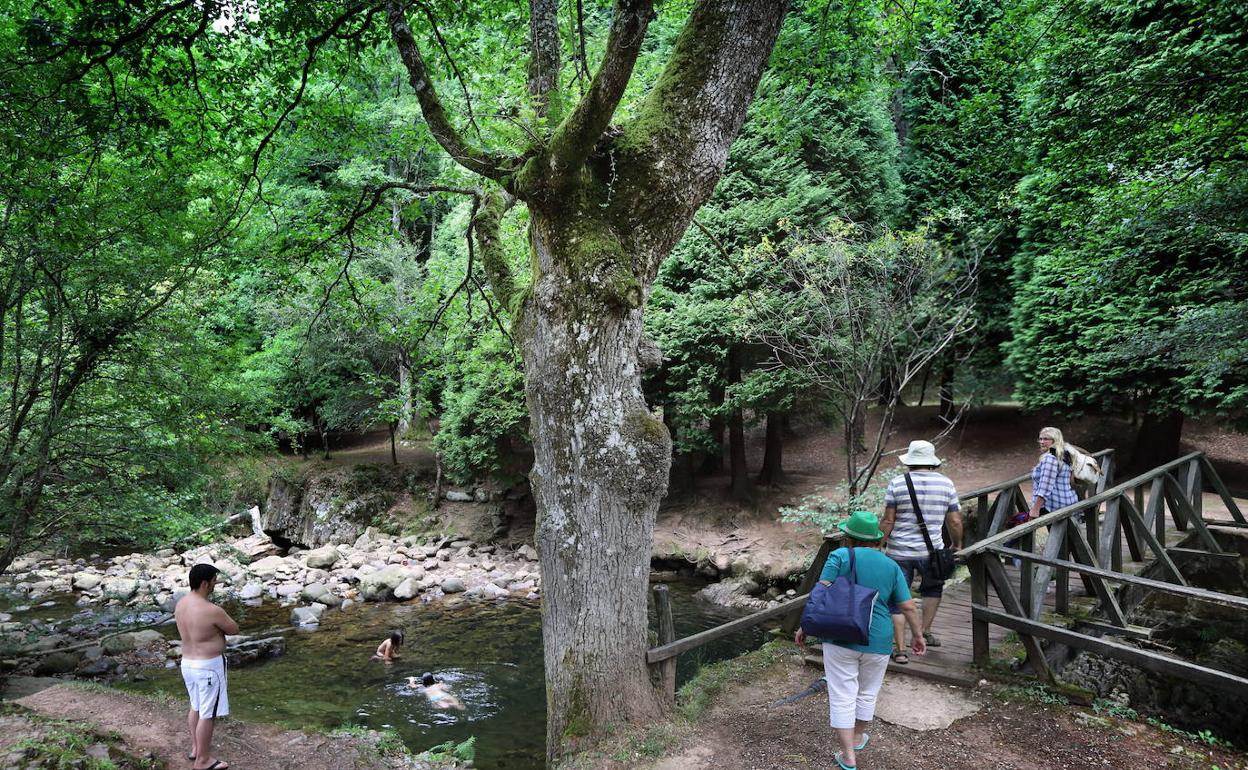 Río Bayones en Ucieda.