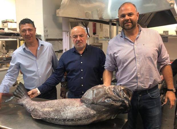 Espectacular mero de cerca de 60 kg en La Flor de Miranda.