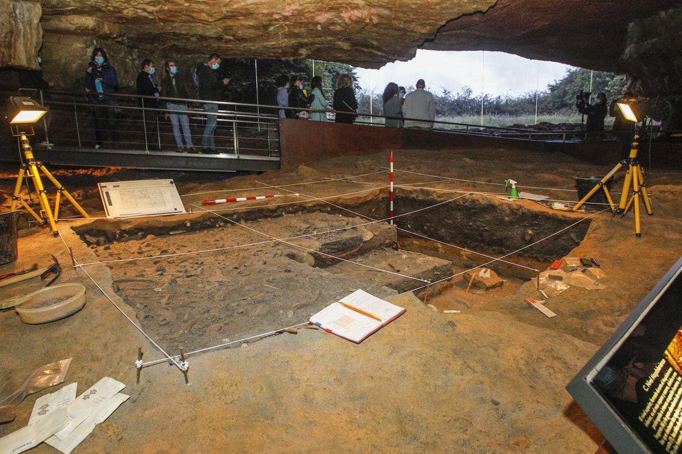 Las visitas vuelven al Museo de Altamira