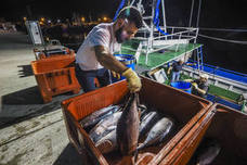 El 'Siempre Rufo' santanderino llegó esta noche a Santoña desde aguas atlánticas con 6.000 kilos en sus bodegas