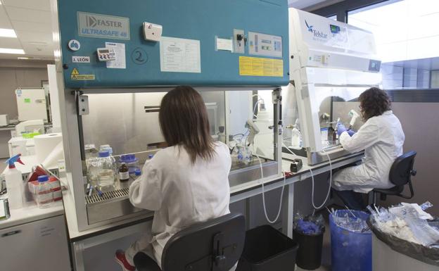 La UC ofrece 40 plazas en el arranque de los estudios de Biomedicina.