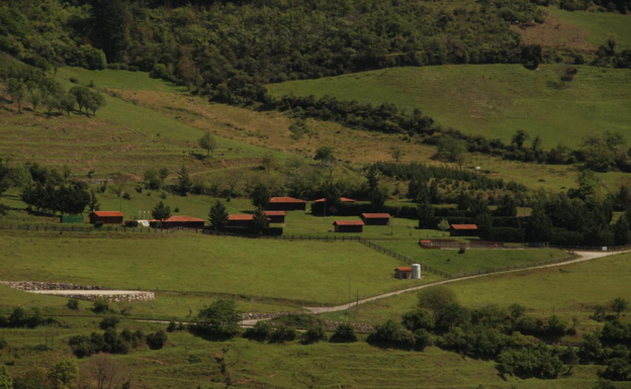 Instalaciones del albergue de Tama donde se celebrará en julio y agosto el Campus Infantil de verano.