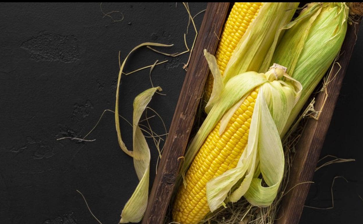 El maíz dulce una potente fuente de energía | El Diario Montañés