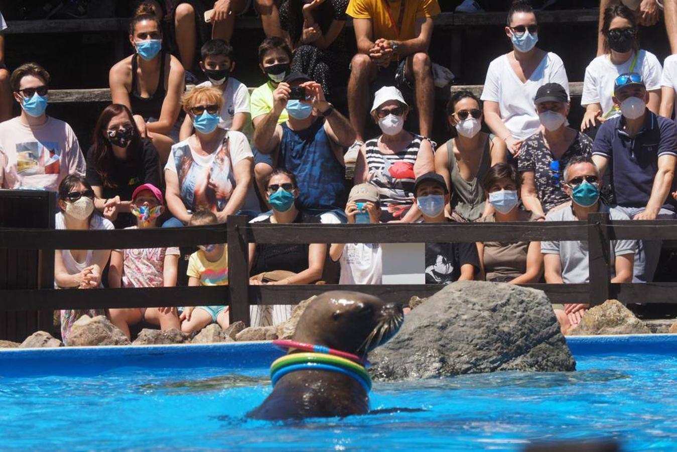 Numeroso público se acercó este sábado hasta el Parque de la Naturaleza de Cabárceno en el primer fin de semana fuera del estado de alarma.