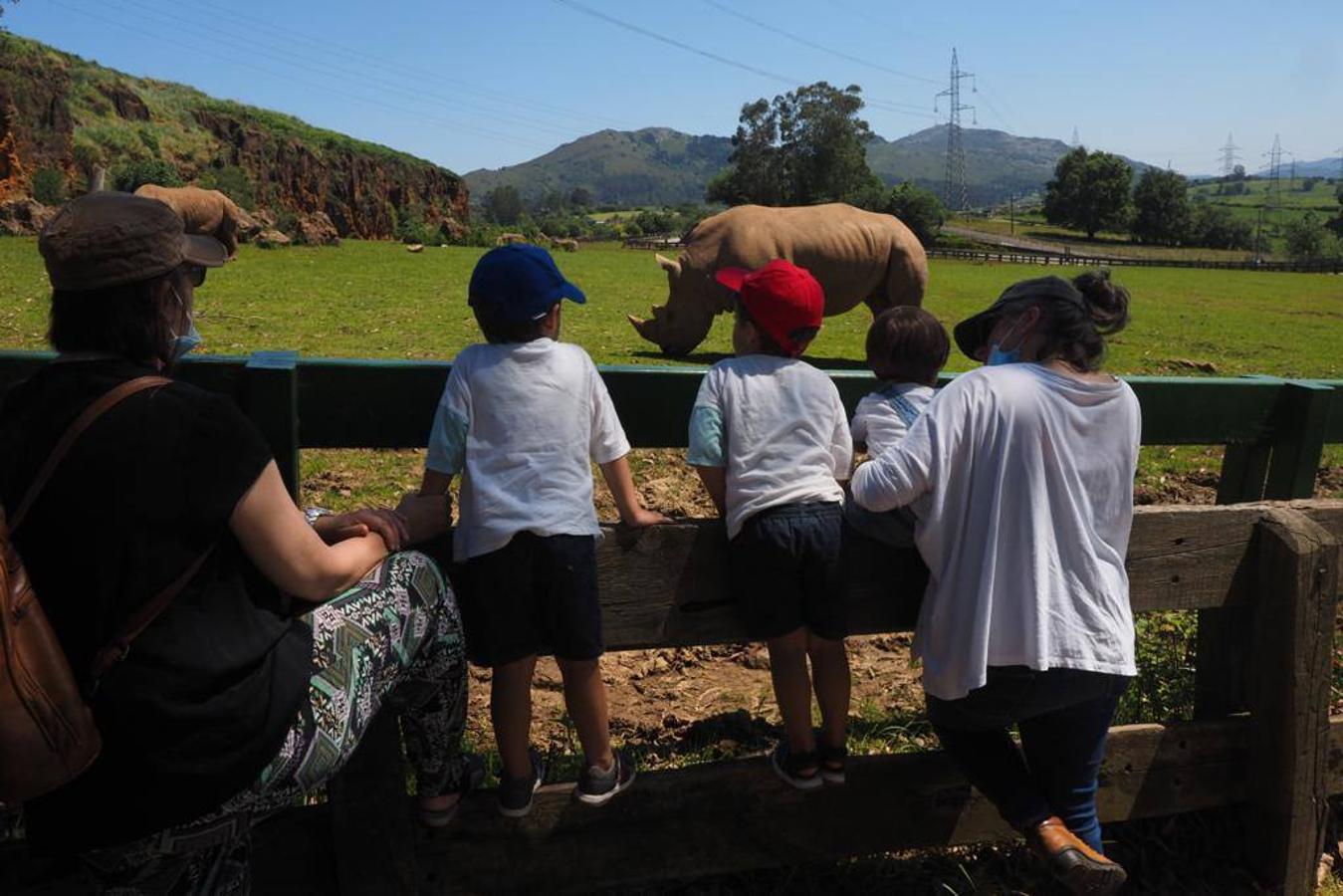 Numeroso público se acercó este sábado hasta el Parque de la Naturaleza de Cabárceno en el primer fin de semana fuera del estado de alarma.