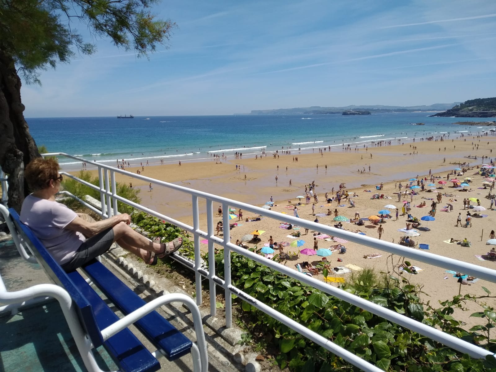 Fotos: Las playas de Santander, hasta la bandera