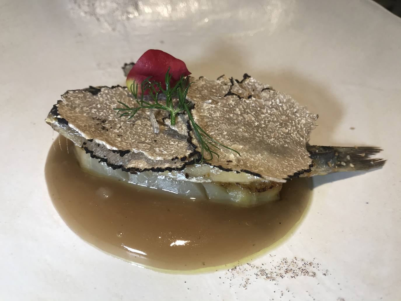 Colinabo, sardina y trufe de verano.