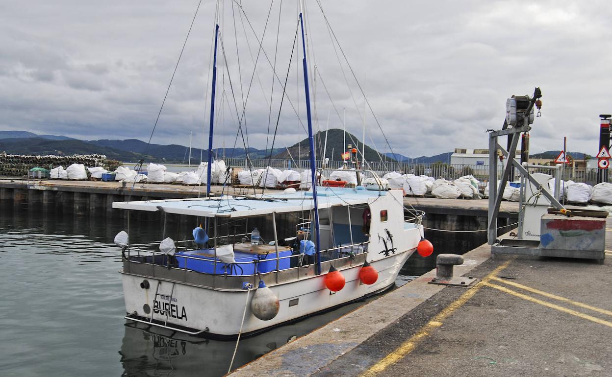 Uno de los boniteros gallegos atracado en el puerto de Santoña.