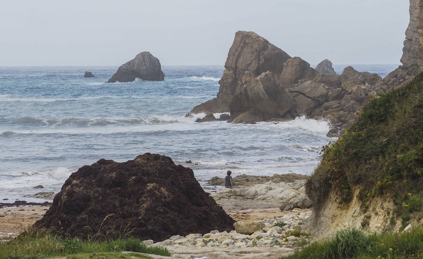 El proyecto 'Geoparque Costa Quebrada' persigue incorporar este área costera a la red mundial de geoparques de la Unesco. Acaba dede salir a información pública en el Boletín Oficial de Cantabria (BOC). SOn 472,66 kilómetros cuadrados, de los que 371,56 corresponden a las áreas terrestres, y los restantes 101,11 a las áreas marinas circundantes en los municipios de Santander, Camargo, Santa Cruz de Bezana, Piélagos, Miengo, Polanco, Suances y Santillana del Mar.