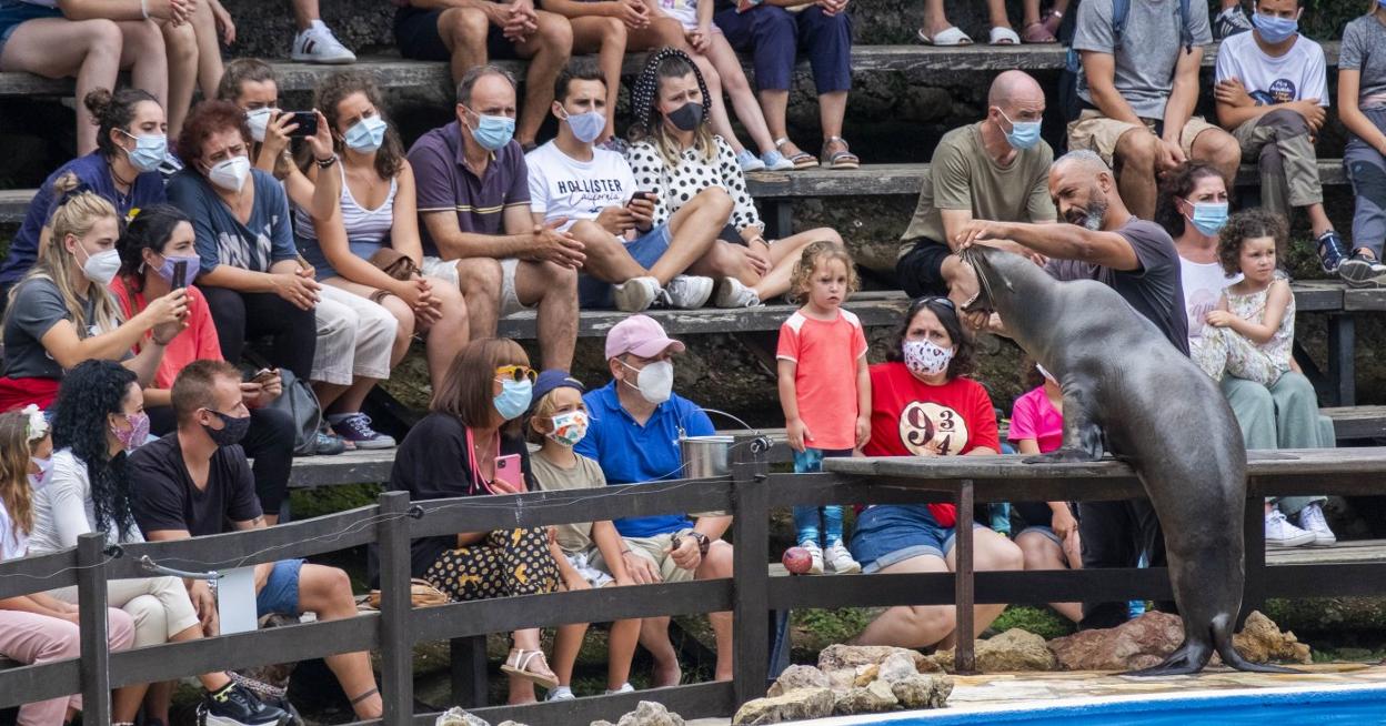 Visitantes del Parque de la Naturaleza de Cabárceno, ayer, primer fin de semana de agosto, durante el espectáculo de leones marinos. 