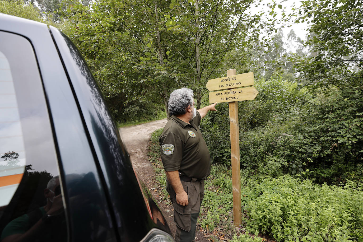 Fotos: Los vándalos roban las señales de las sendas del entorno del Bosque de las Secuoyas