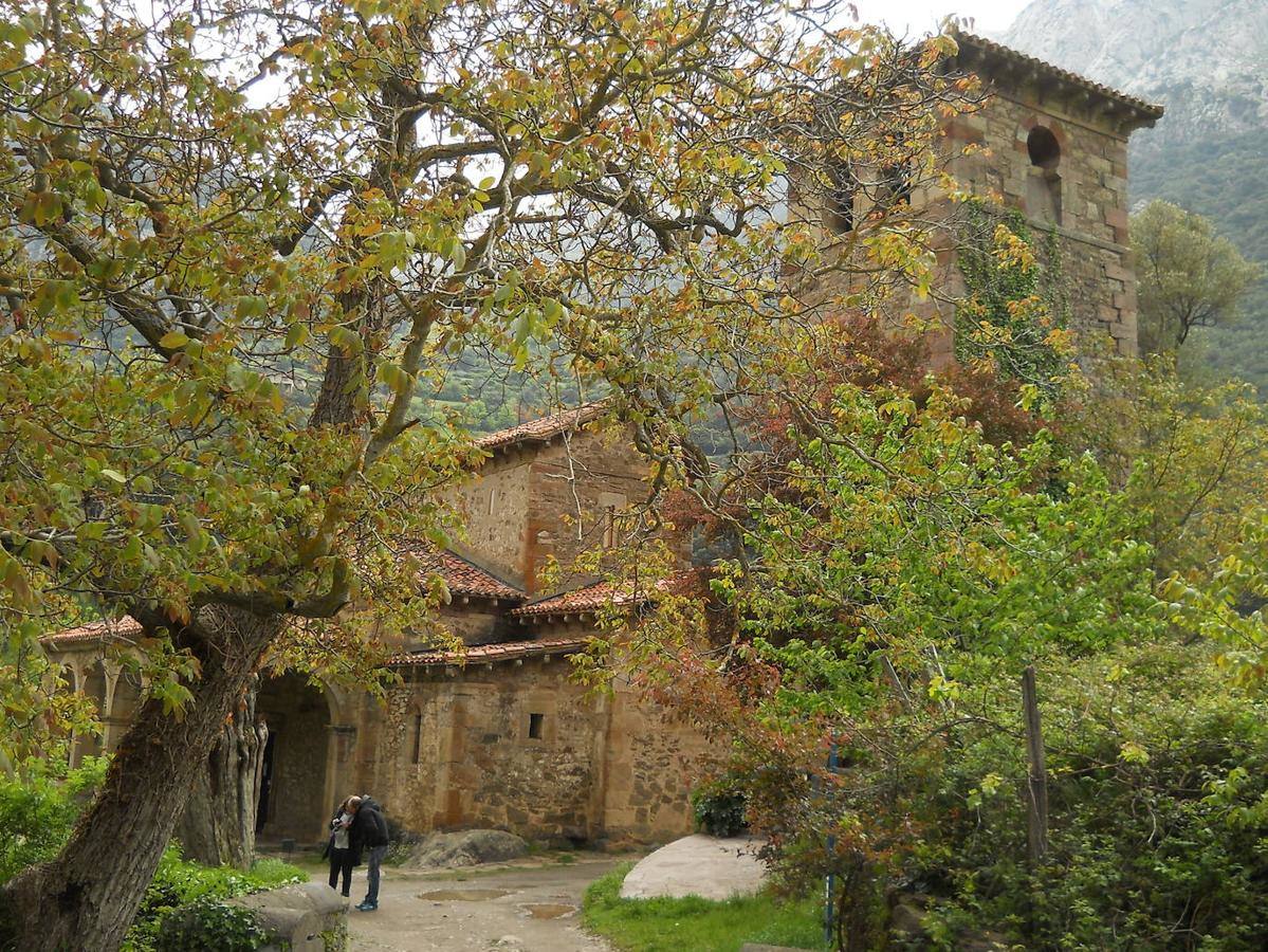 Santa María de Lebeña: Muy cerca de Potes encontrarás esta joya de arquitectura mozárabe que está declarada Monumento Nacional desde 1893 y que fue edificada en el año 925 por los Condes de Liébana para que sirviese de sepulcro de los restos de Santo Toribio. En su exterior encontrarás un tejo enorme que representa a don Alfonso, pero no se trata del original, ya que este murió hace diez años. Todo en un enclave privilegiado rodeado de montañas calizas, amplias zonas de bosque y pastizales.