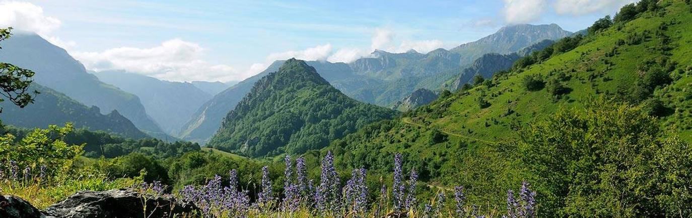 Valle de Sajámbre: El Valle de Sajambre integra la Vertiente leonesa del Parque Nacional de Picos de Europa y está compuesto por cumbres calizas, extensos bosques de hayas, magníficos ejemplares de roble y abedul incluso centenarios, grandes pastizales y gran gastronomía. Además de pueblos con encanto como Oseja de Sajambre o Soto de Sajambre, también podrás admirar el río Sella o disfrutar de impresionantes panorámicas como la del Mirador de Oseja de Sajambre. Pero si quieres conocer el Valle de Sajambre a fondo, nada mejor que hacerlo a través de alguna de sus muchas rutas de senderismo.