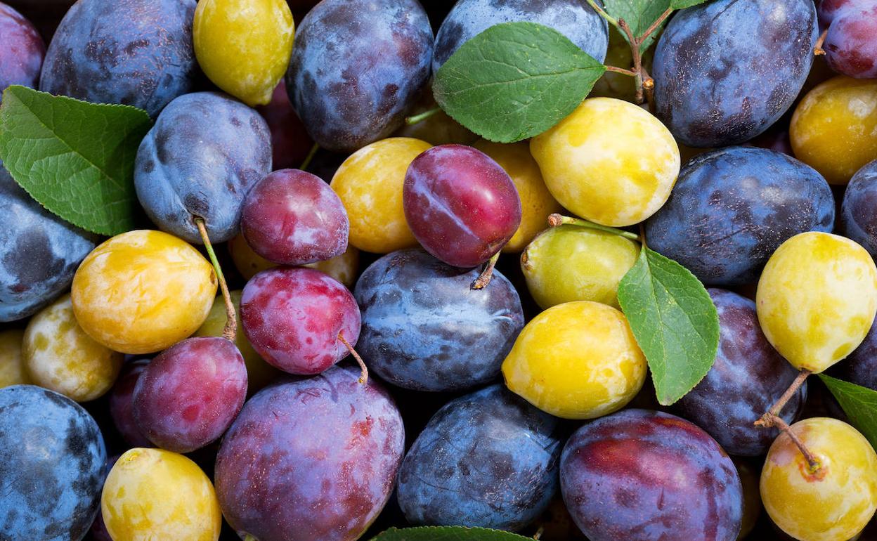 Las ciruelas son como paletas de colores, pero comestibles y saludables. 