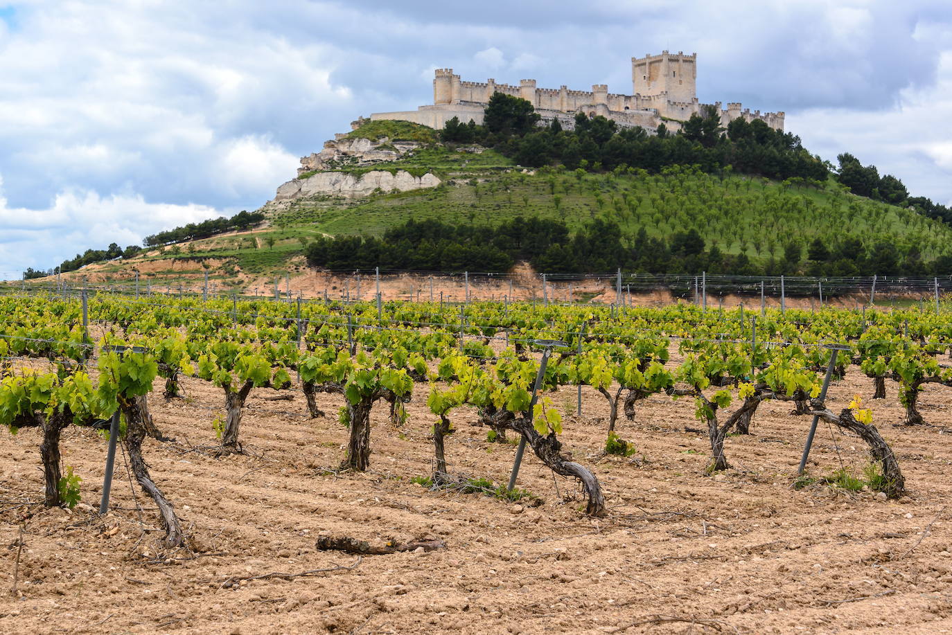 Peñafiel, Valladolid