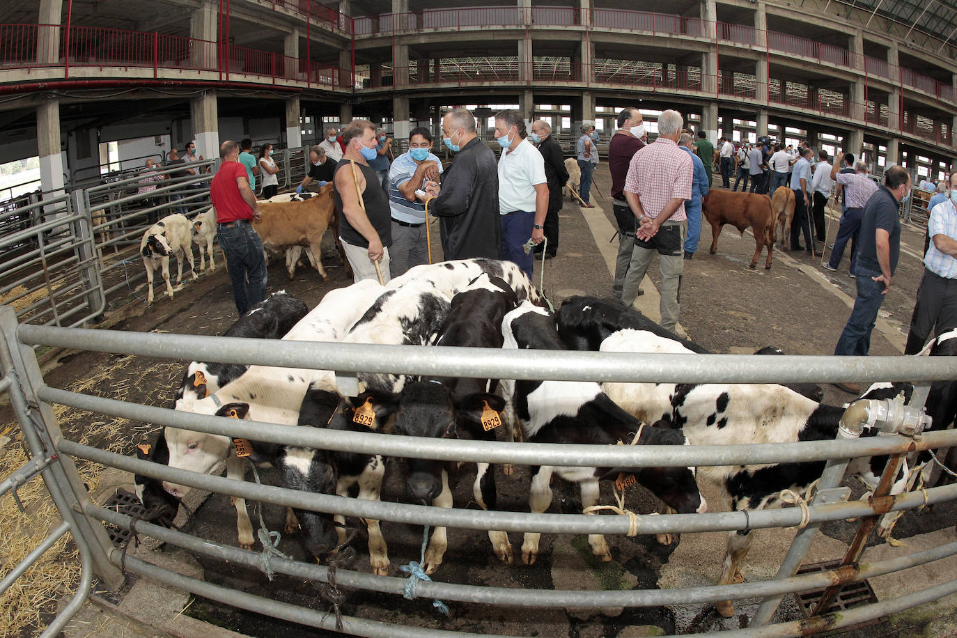 Fotos: La feria de nuevo en marcha