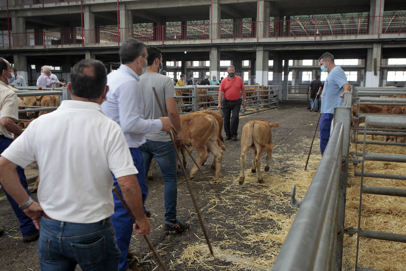 Fotos: La feria de nuevo en marcha