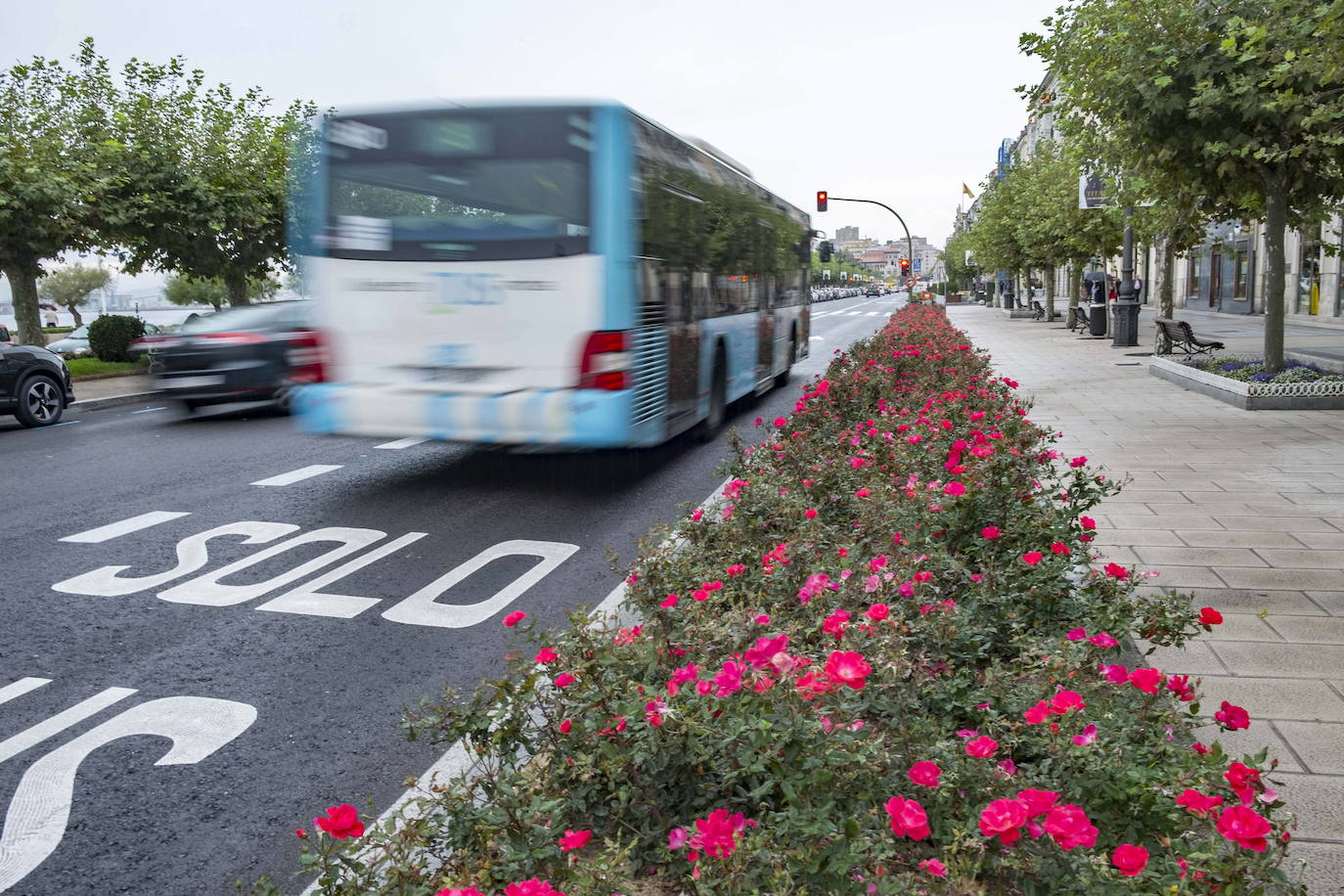 Ceruti se queja de que el PP sigue sin cumplir el acuerdo para suprimir el carril bus en el centro