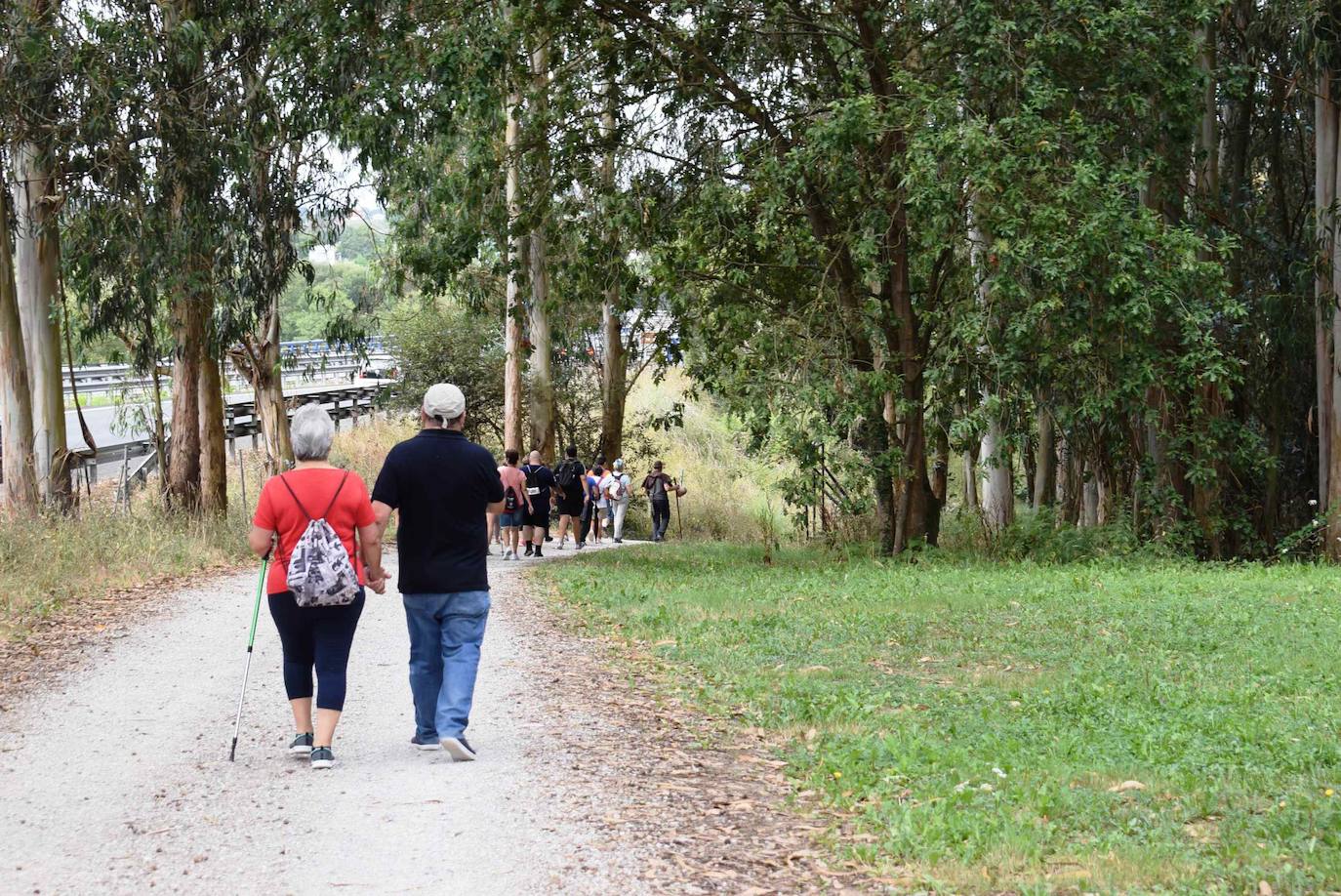 Fotos: Caminando por Piélagos