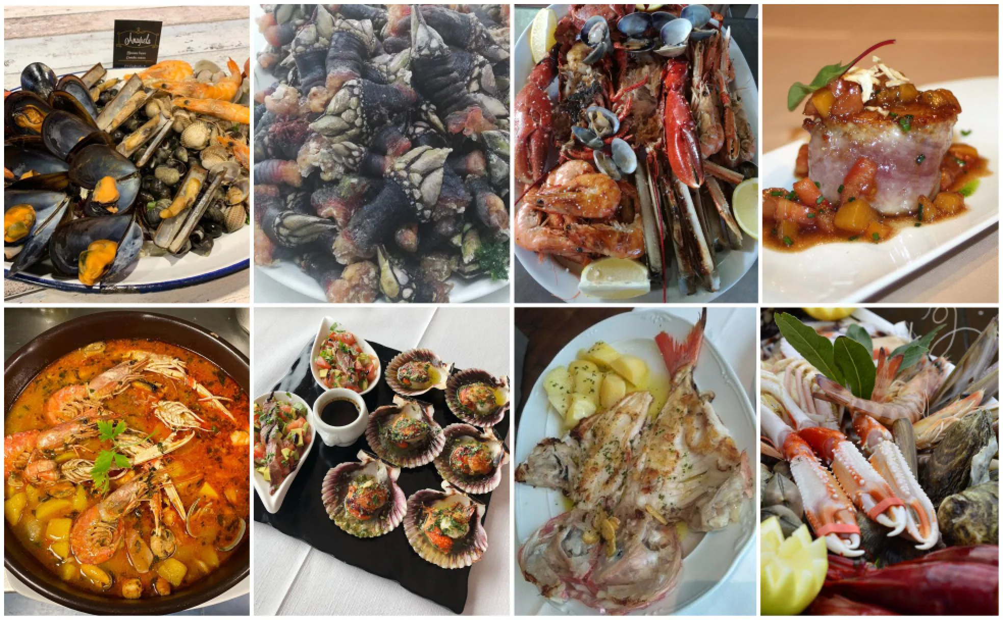 Ruta de los restaurantes donde disfrutar con pescados y mariscos en  Cantabria | El Diario Montañés