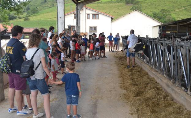 UNa de las visitas a la granja.