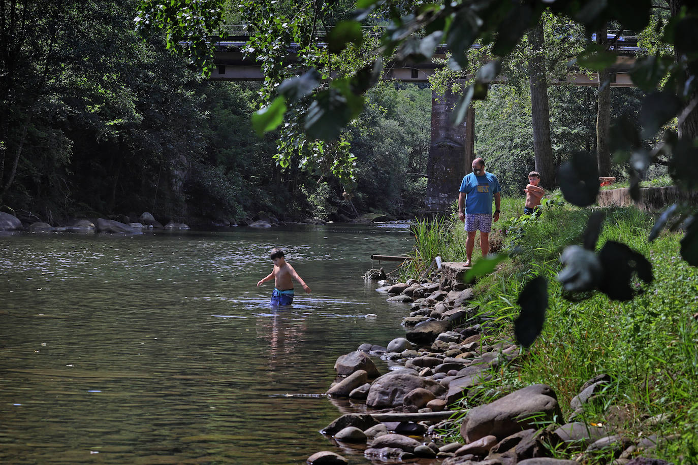 Los cauces y pozos son más que nunca un reclamo para los turistas estos días de calor, unos espacios que comparten con los vecinos. En estas imágenes, niños y mayores disfrutan en el río Saja, en el parque de Santa Lucía de Cabezón de la Sal.