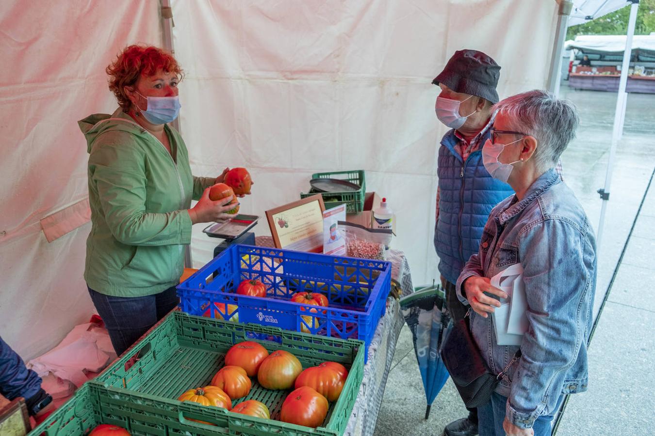 Bezana celebró, a pesar de la lluvia, la II Feria Nacional del Tomate Antiguo, que incluyó talleres, charlas y mercado ecológico de proximidad, entre otras actividades. Los periodistas David Remartínez y Pedro Vallín fueron nombrados 'Tomatero mayor'.