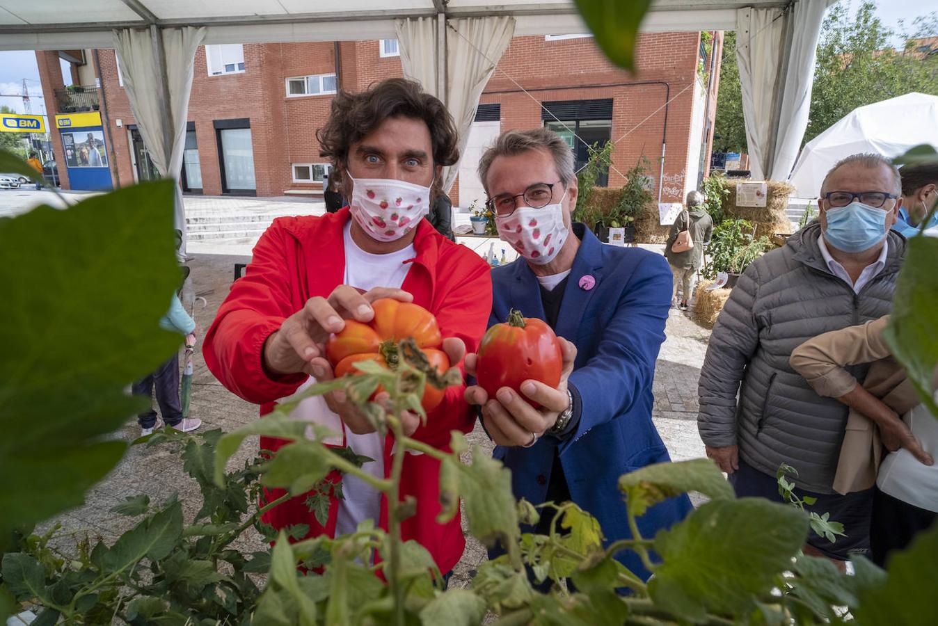 Bezana celebró, a pesar de la lluvia, la II Feria Nacional del Tomate Antiguo, que incluyó talleres, charlas y mercado ecológico de proximidad, entre otras actividades. Los periodistas David Remartínez y Pedro Vallín fueron nombrados 'Tomatero mayor'.