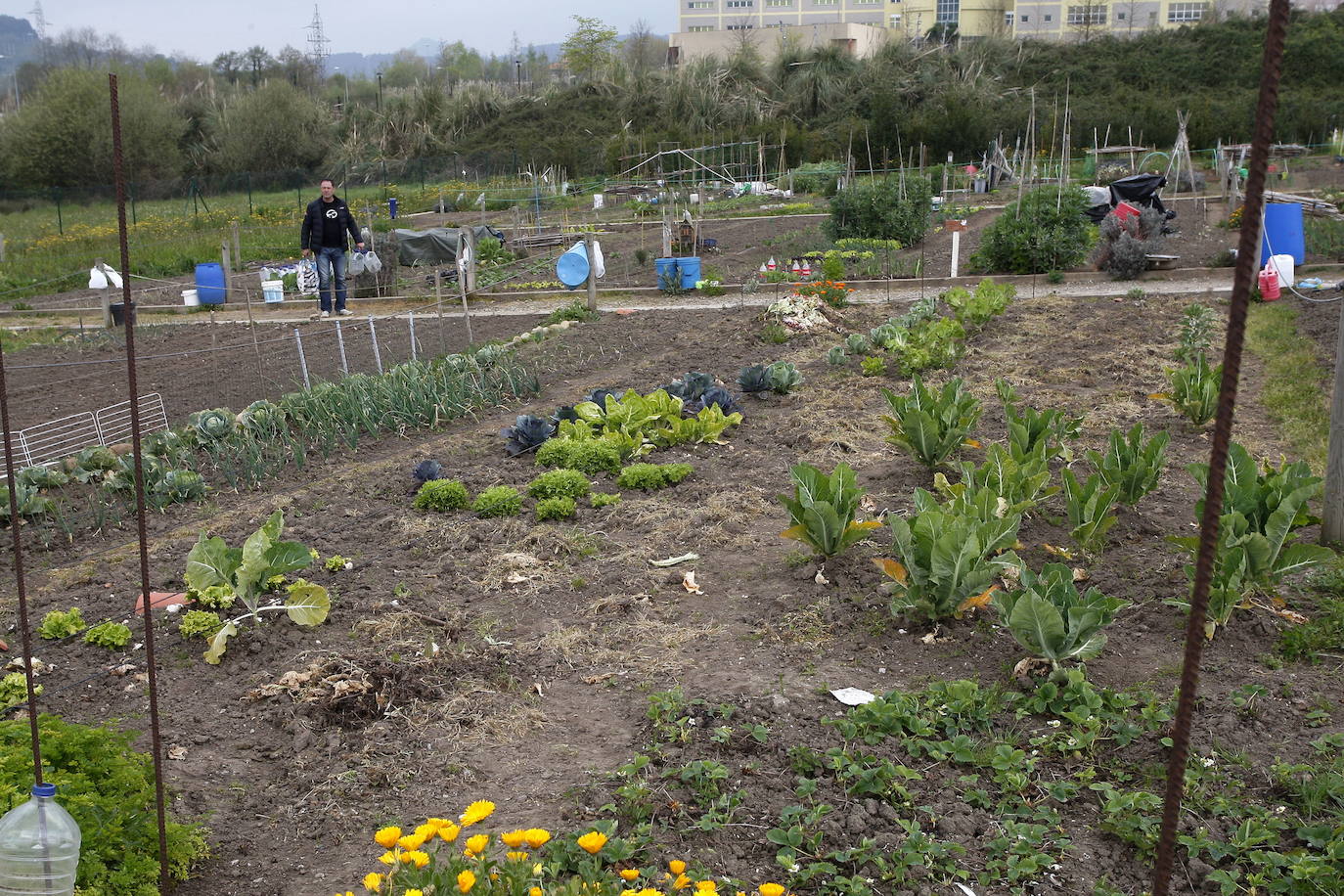 Imagen de archivo de un huerto urbano municipal en Torrelavega.