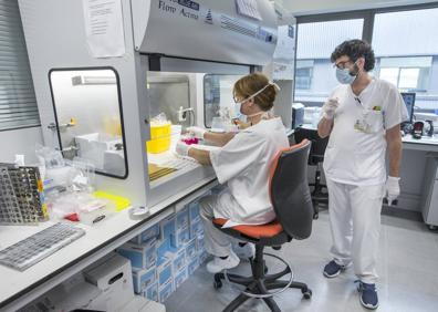 Imagen secundaria 1 - La gran cadena de producción del diagnóstico covid