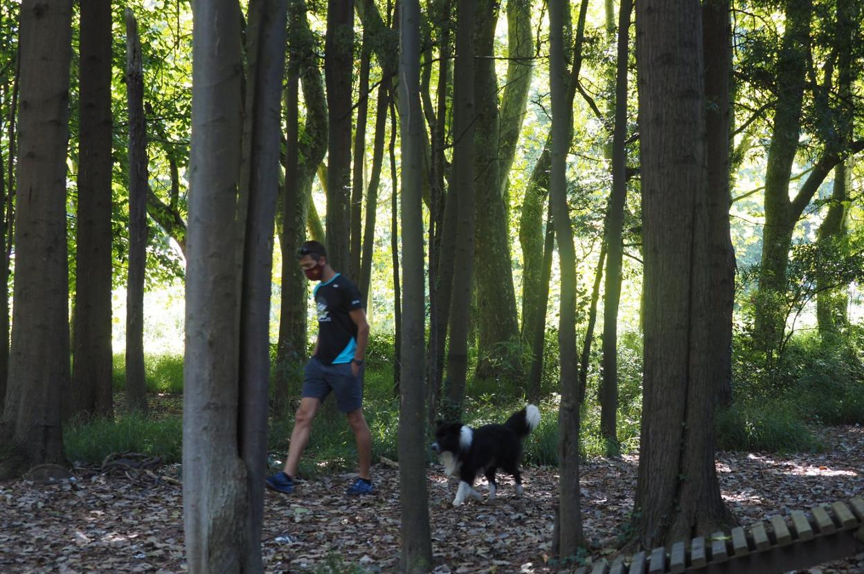 Un vecino pasea con su perro entre los cientos de árboles de El Patatal.