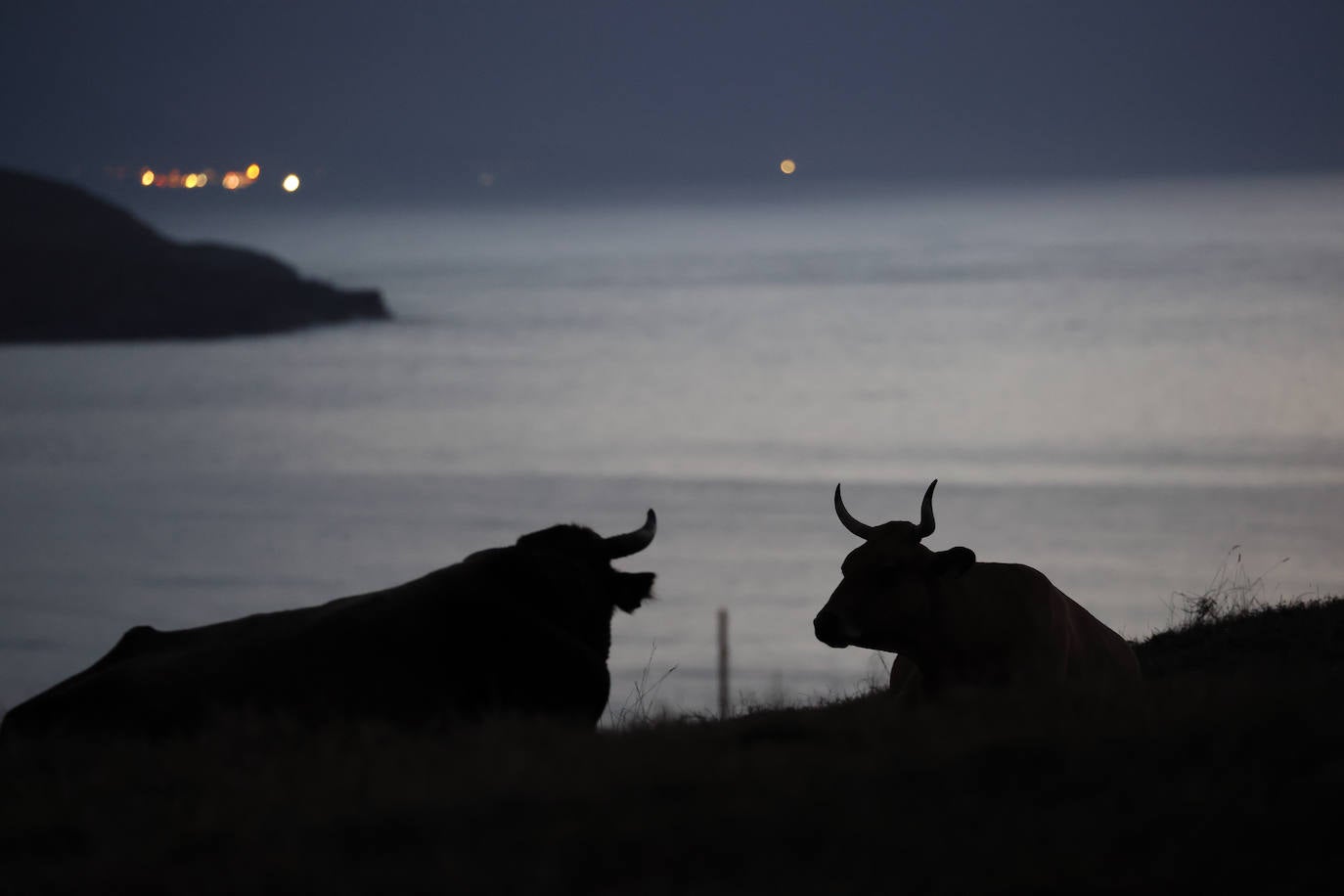 Imágenes de las espectaculares costas del Parque Natural de Oyambre y de las playas de San Vicente de la Barquera tomadas este verano al caer la noche. 