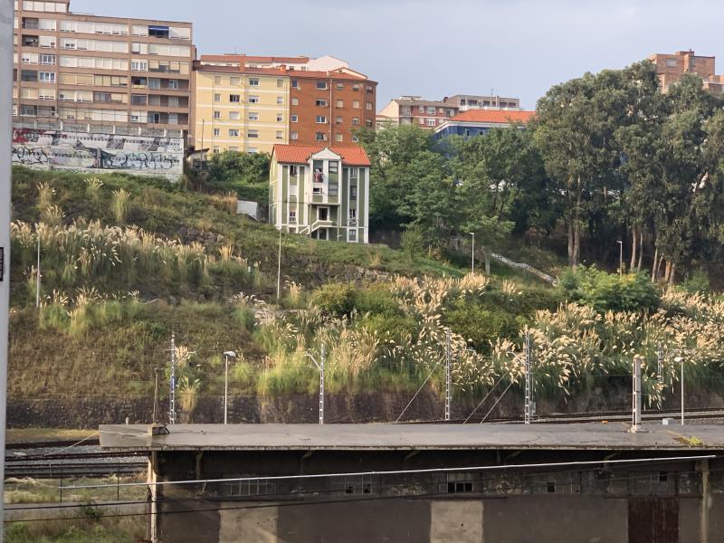 Fotos: La zona de arbustos próxima a la Peña del Cuervo donde ha aparecido el cuerpo de la mujer