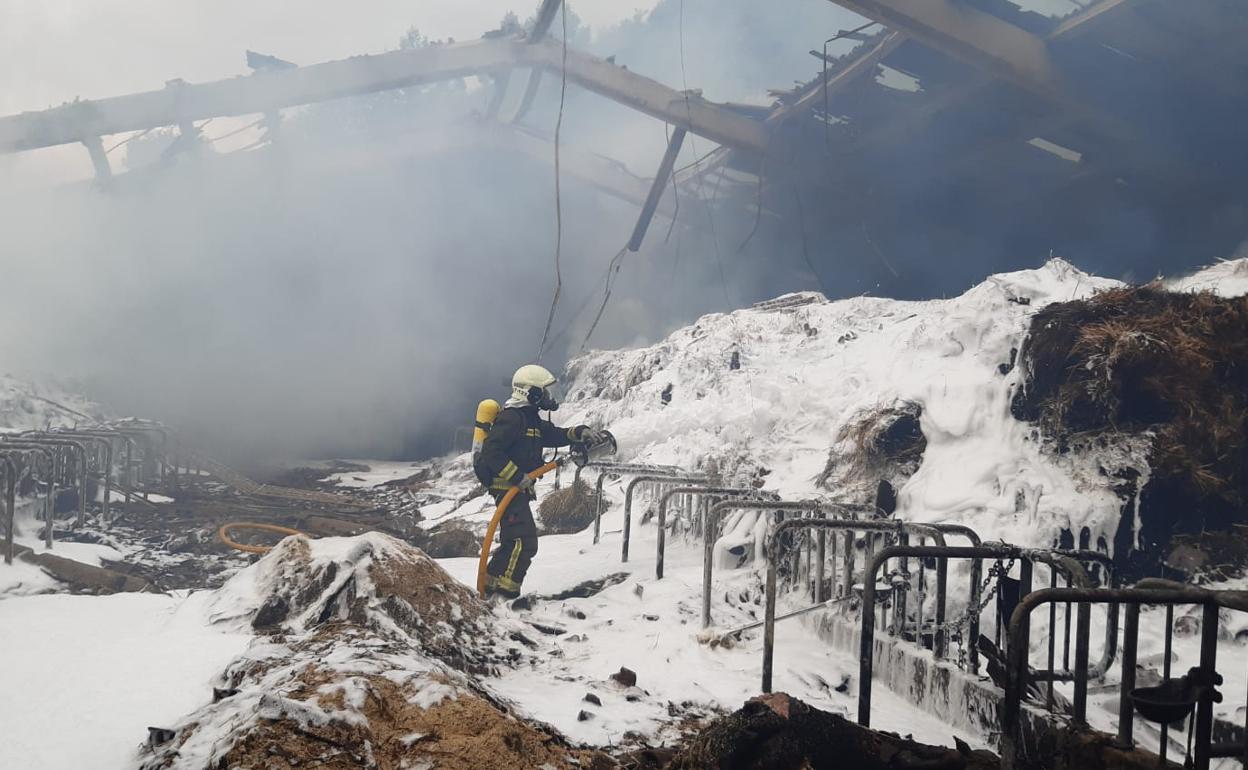 Así ha quedado el interior de la nave quemada.