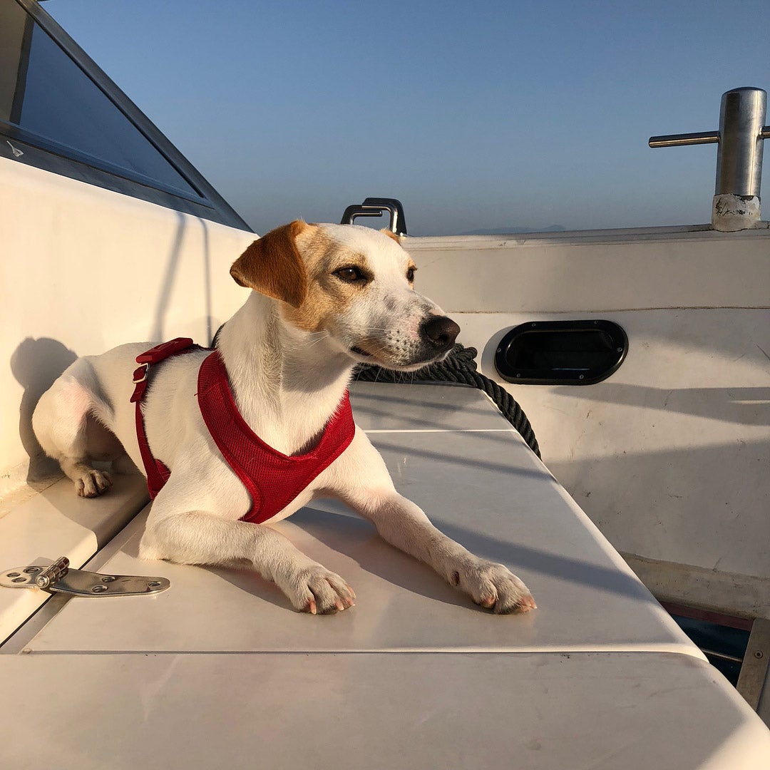 En 2018 viajó en lancha por la Bahía de Santander.