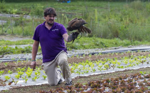 Eco-Tierra Mojada: «La agricultura no puede escribirse en un papel»