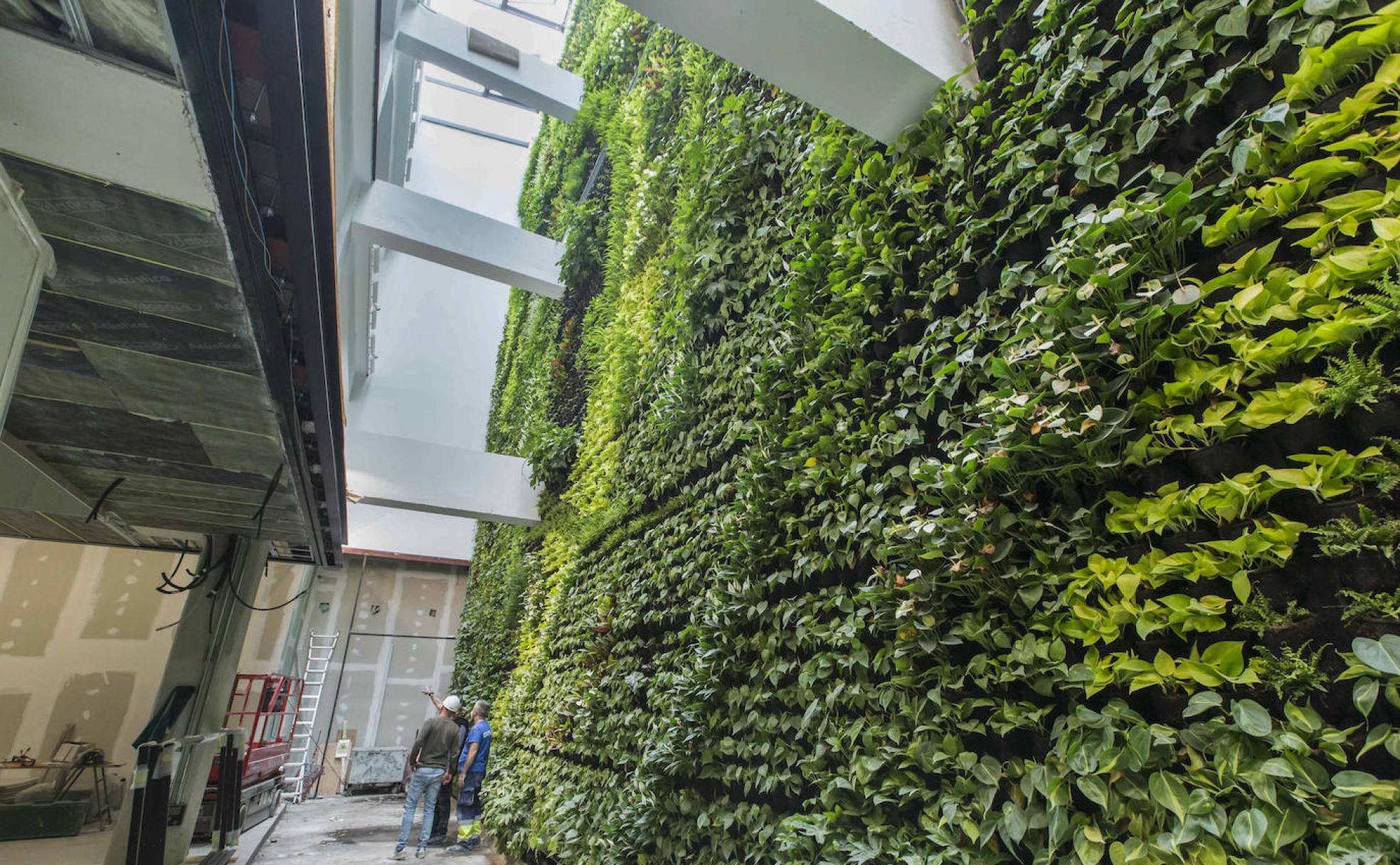 En el centro cívico Castilla- Hermida se ha instalado un enorme jardín vertical, de arriba abajo del edificio.