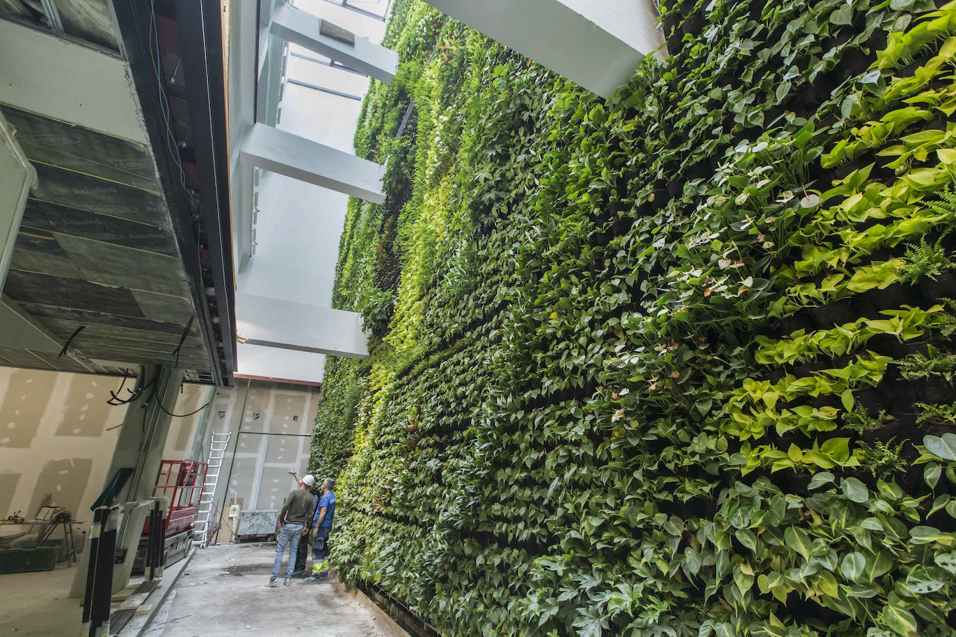 El centro cívico Castilla- Hermida acoge en una de sus paredes el mural vegetal más grande de Europa, con 558 metros cuadrados de superficie