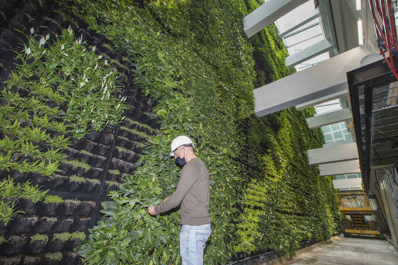 El centro cívico Castilla- Hermida acoge en una de sus paredes el mural vegetal más grande de Europa, con 558 metros cuadrados de superficie