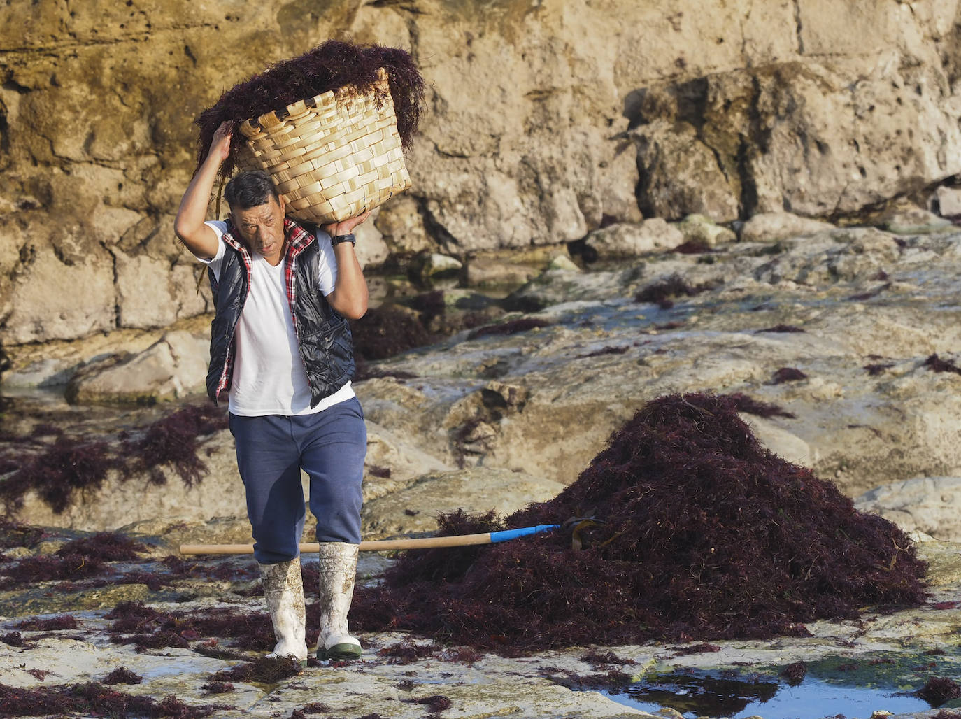 Los recolectores del 'oro rojo del mar' vuelven a enfrentarse, un año más, a unas condiciones de trabajo «que no vemos justamente recompensadas»