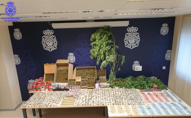 Imagen principal - Desmantelada una sofisticada plantación de marihuana en una asociación cannábica de Santander