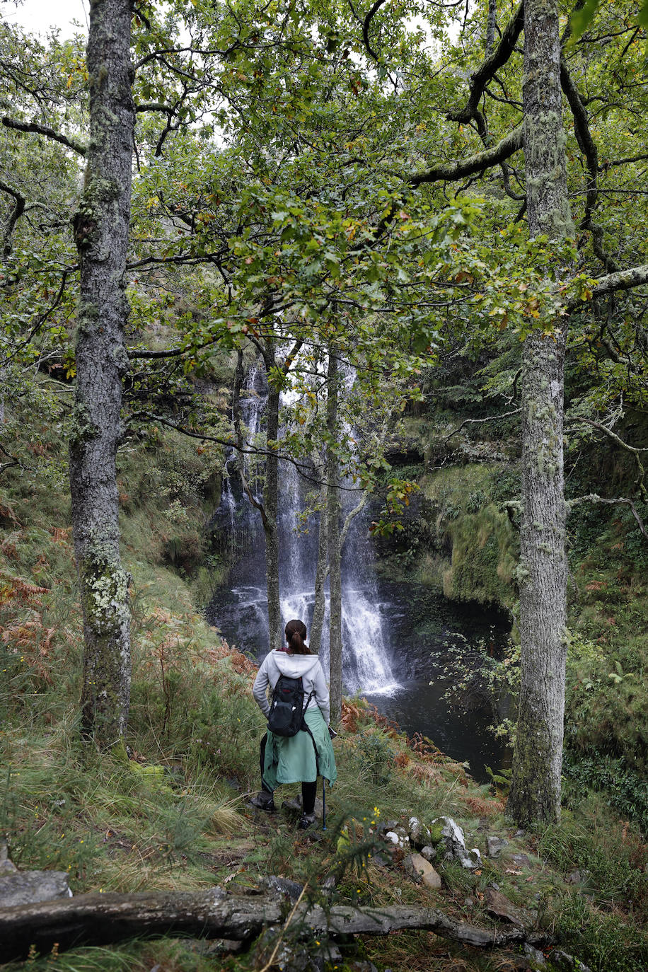 La Asociación de Desarrollo Rural Saja Nansa subvencionará un proyecto específico, a través del programa Leader, para acondicionar y señalizar la ruta de las cascadas de Viaña (Cabuérniga). Se unen a las cascadas de Lamiña (Ruente). Juntas componen un bello patrimonio natural que los dos ayuntamientos quieren potenciar.