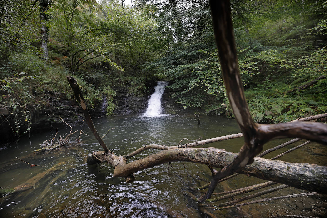 La Asociación de Desarrollo Rural Saja Nansa subvencionará un proyecto específico, a través del programa Leader, para acondicionar y señalizar la ruta de las cascadas de Viaña (Cabuérniga). Se unen a las cascadas de Lamiña (Ruente). Juntas componen un bello patrimonio natural que los dos ayuntamientos quieren potenciar.