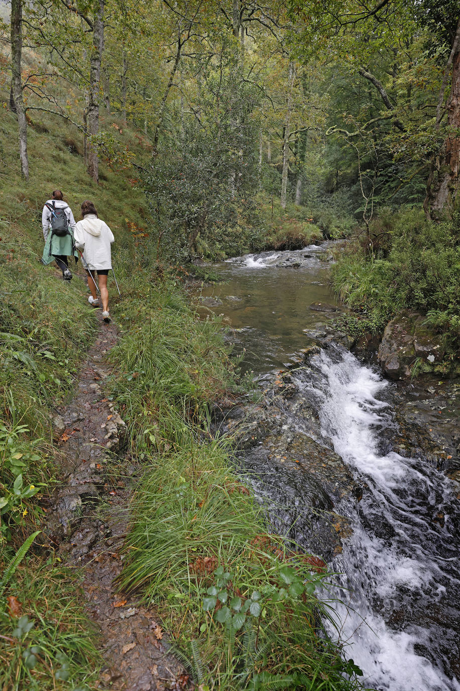 La Asociación de Desarrollo Rural Saja Nansa subvencionará un proyecto específico, a través del programa Leader, para acondicionar y señalizar la ruta de las cascadas de Viaña (Cabuérniga). Se unen a las cascadas de Lamiña (Ruente). Juntas componen un bello patrimonio natural que los dos ayuntamientos quieren potenciar.