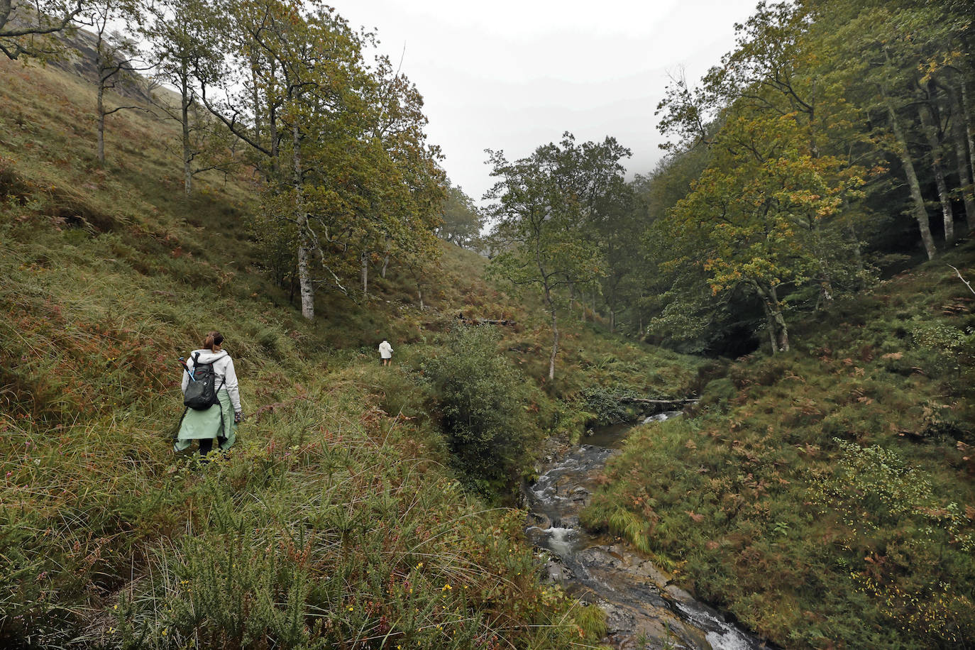 La Asociación de Desarrollo Rural Saja Nansa subvencionará un proyecto específico, a través del programa Leader, para acondicionar y señalizar la ruta de las cascadas de Viaña (Cabuérniga). Se unen a las cascadas de Lamiña (Ruente). Juntas componen un bello patrimonio natural que los dos ayuntamientos quieren potenciar.