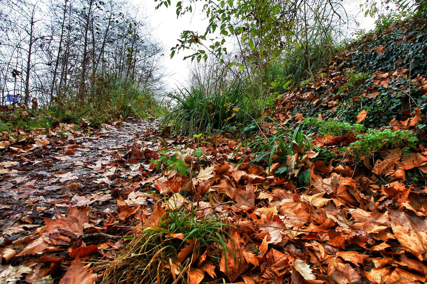 Fotos: Otoño, en los montes de Cantabria