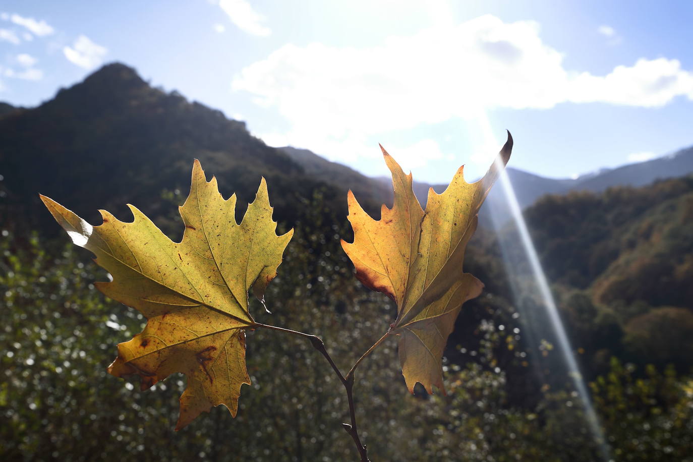 Fotos: Otoño, en los montes de Cantabria