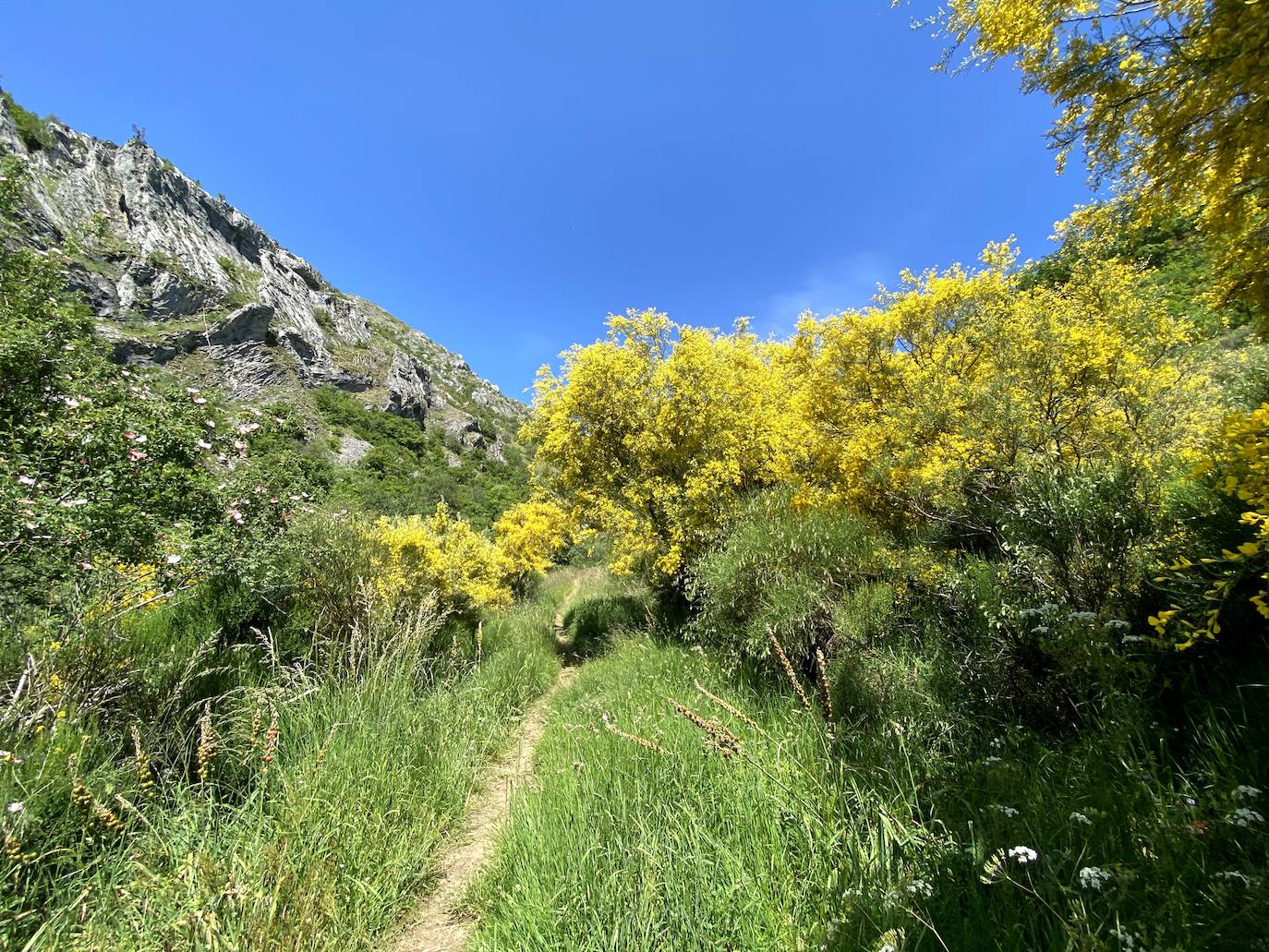 A escasos 50 kilómetros de la ciudad de León se puede disfrutar de una ruta de media montaña, apta para niños, donde ver espectaculares formaciones de roca caliza