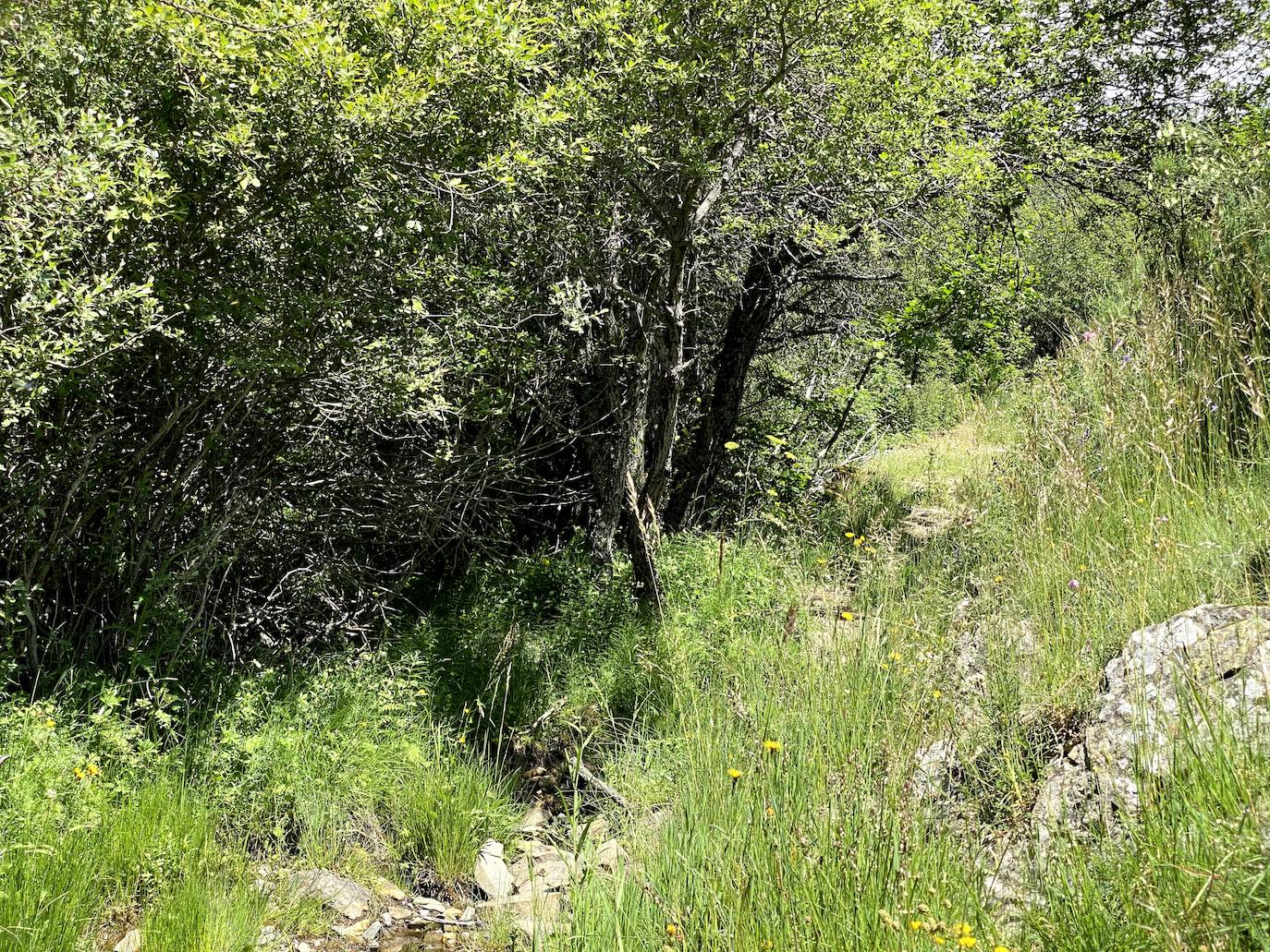 A escasos 50 kilómetros de la ciudad de León se puede disfrutar de una ruta de media montaña, apta para niños, donde ver espectaculares formaciones de roca caliza